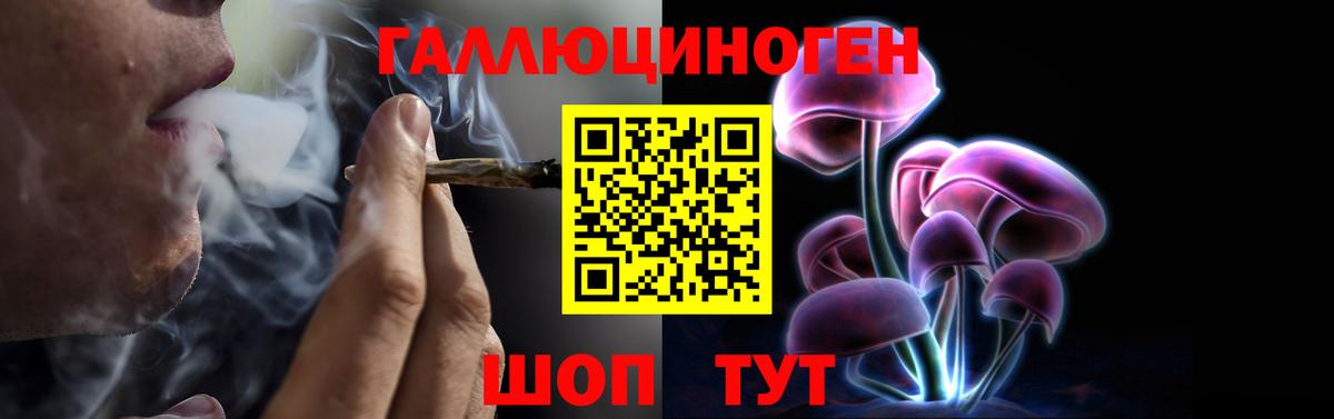 Сафоново  Галлюциногенные грибы мухоморы  Псилоцибиновые грибы Psilocybine cubensis  Вход с VPN 